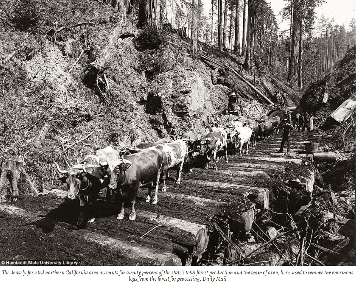 Skärmavbild 2021-11-28 kl. 16.42.11.png