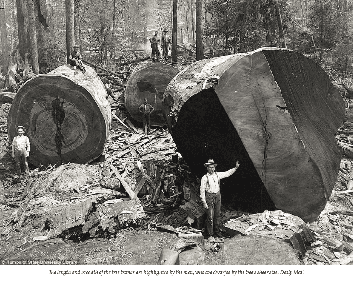 Skärmavbild 2021-11-28 kl. 16.42.32.png