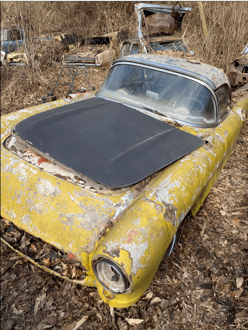 Skärmavbild 2024-07-14 kl. 15.19.55.png