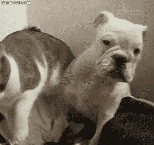 slap.gif