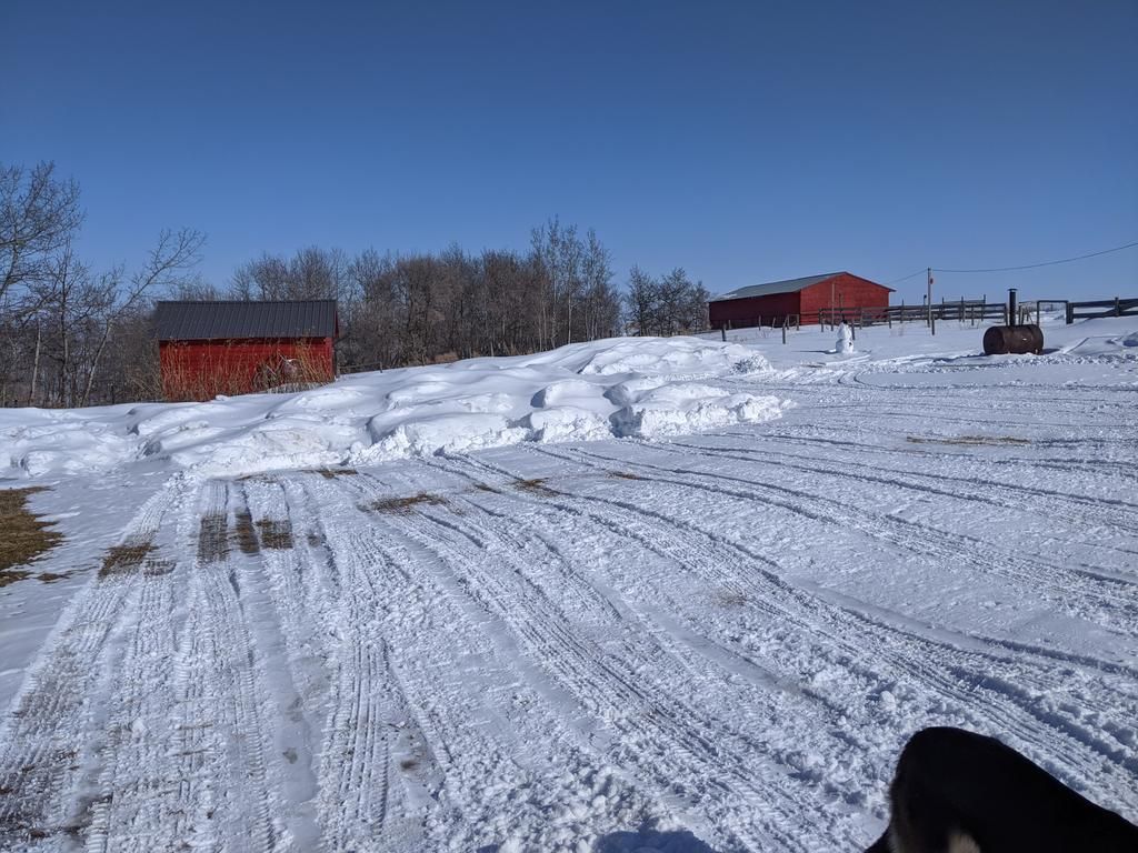 snow.jpg
