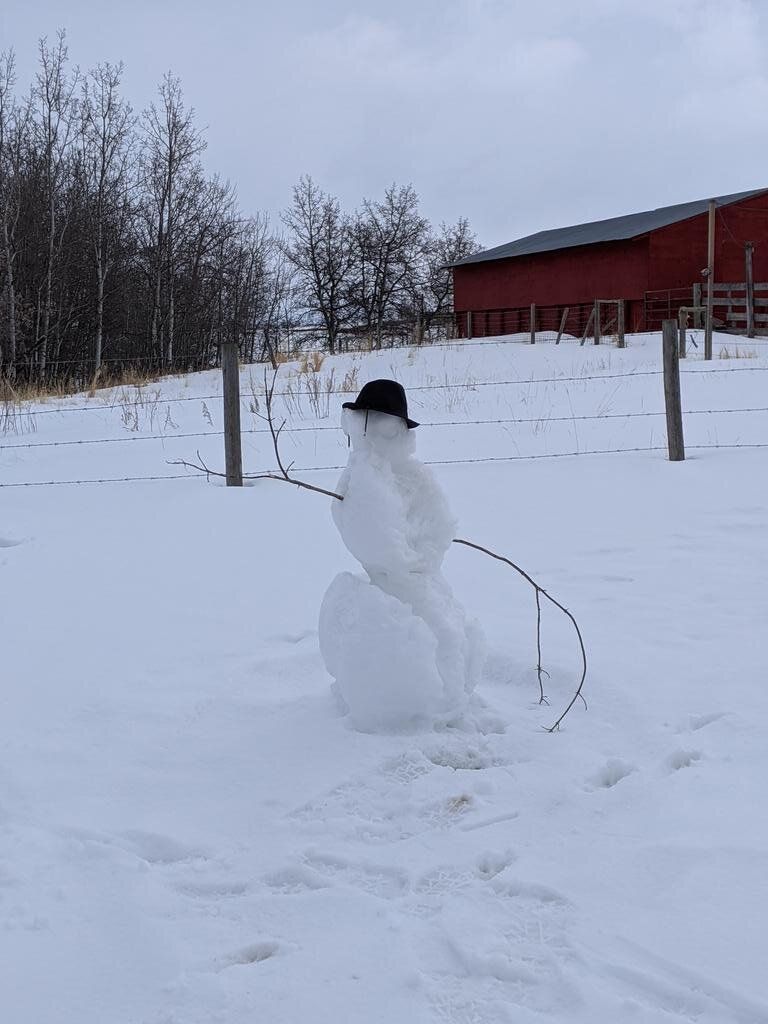 snow2.jpg