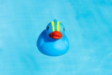 still a ducky.jpg