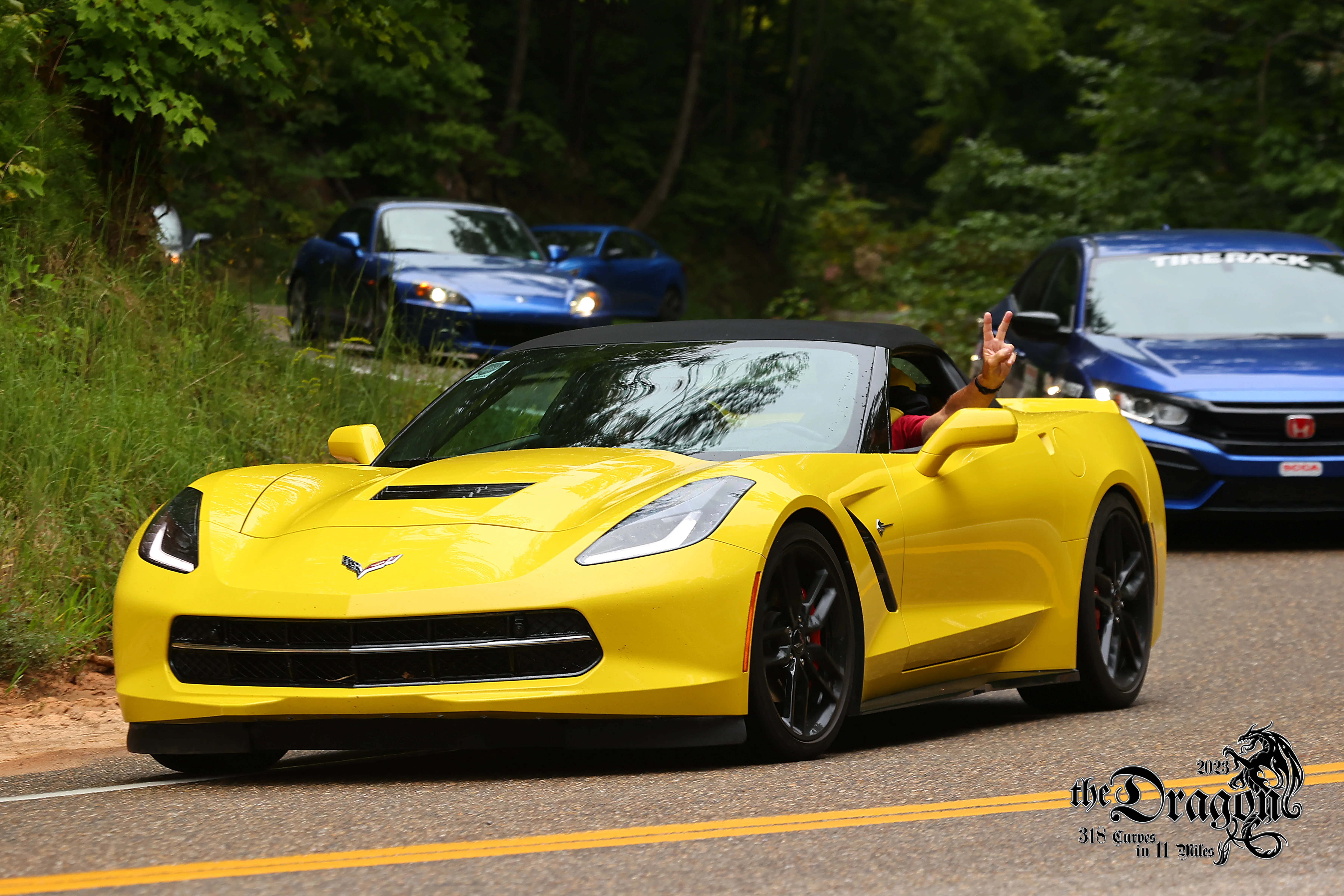 TAIL OF THE DRAGON 1.webp