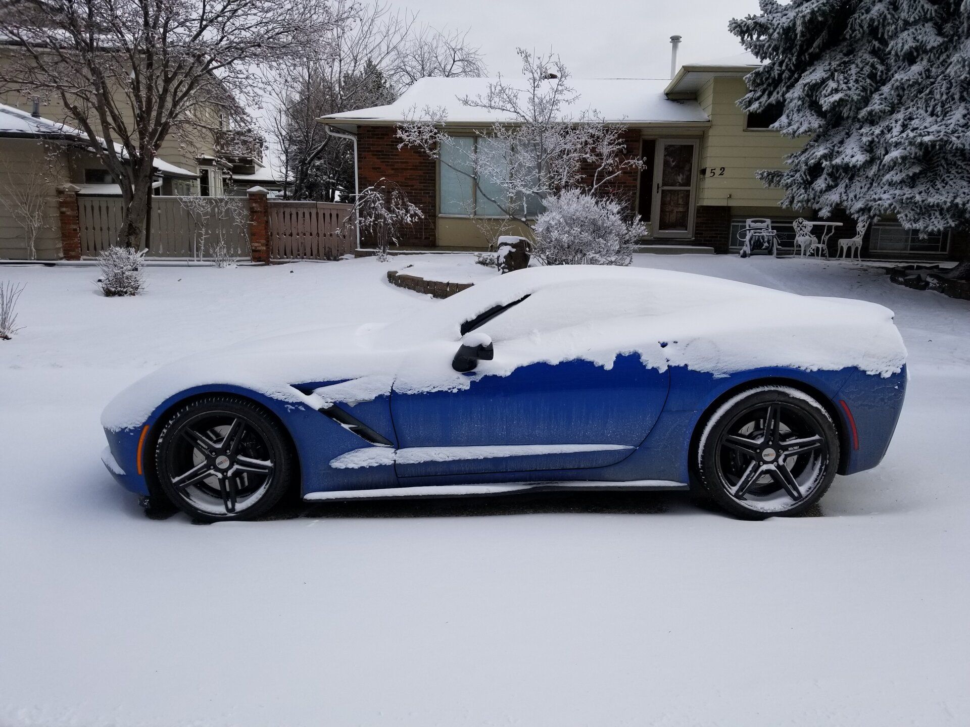 the winter vette