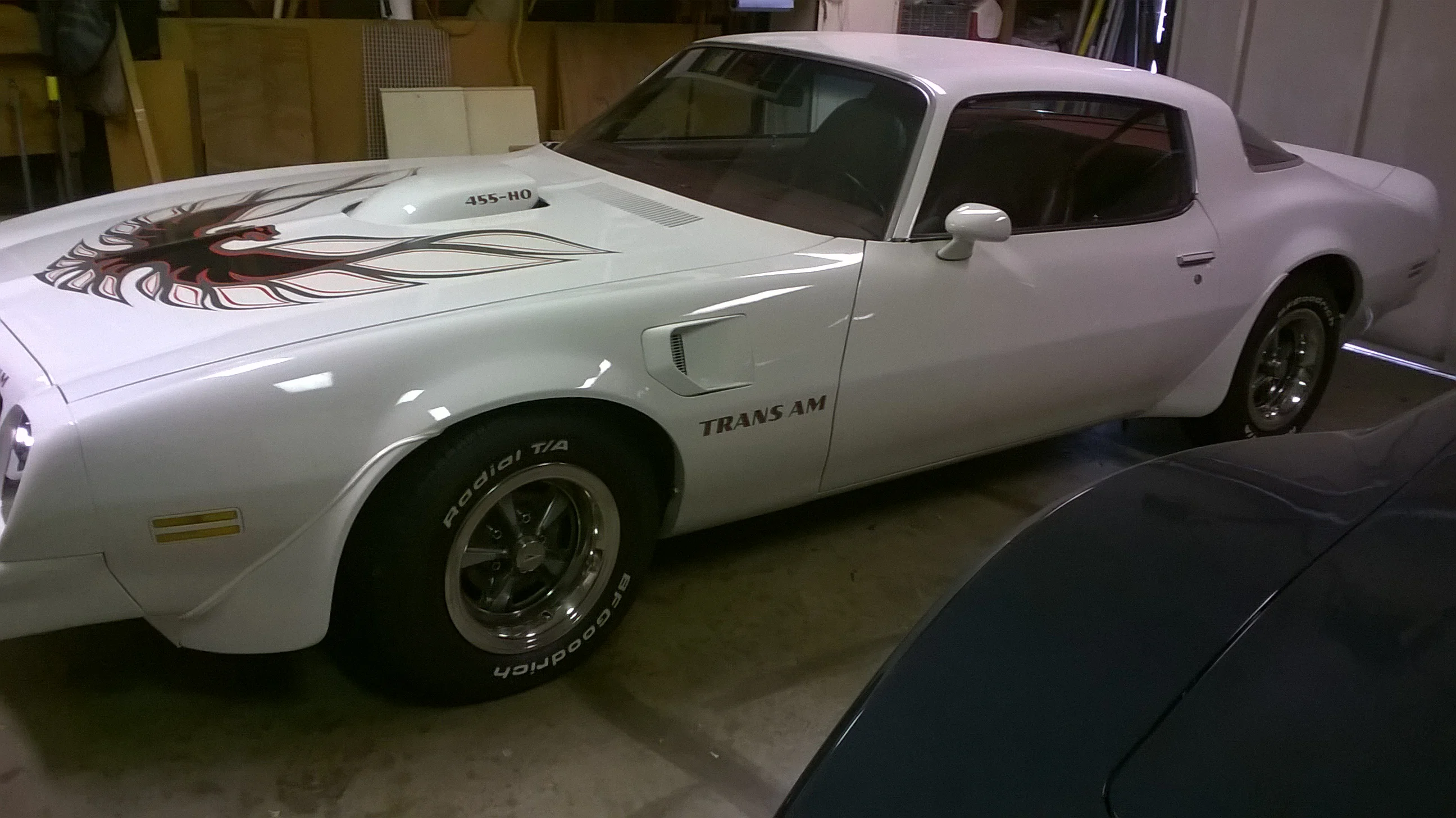 TransAm.webp
