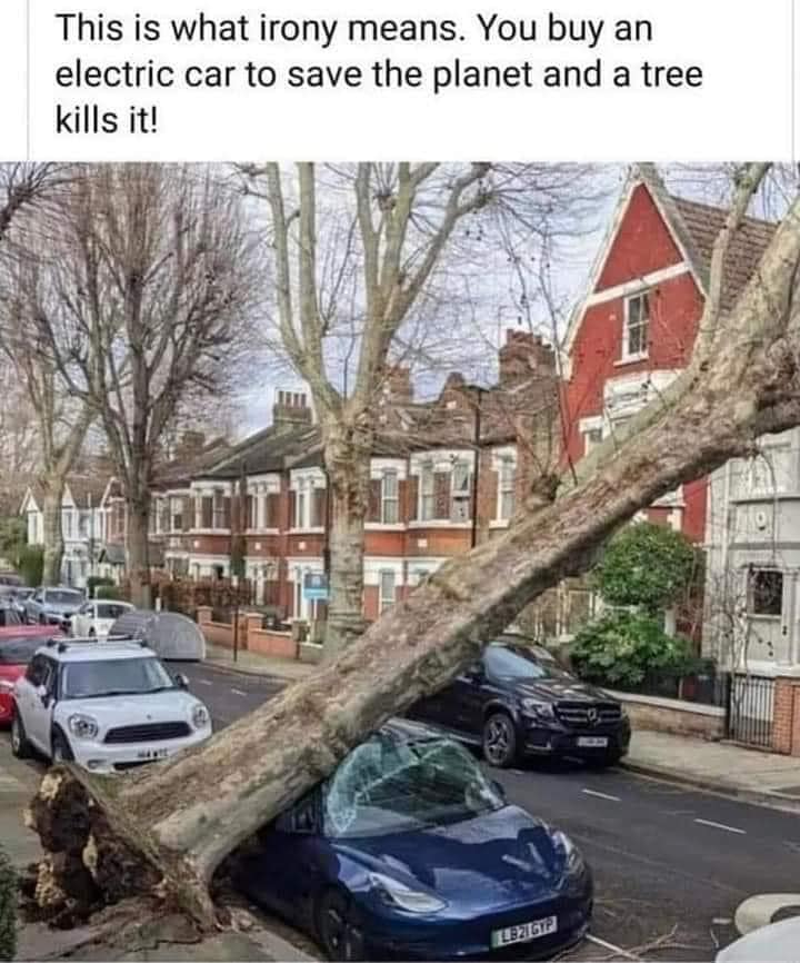 tree kills car.jpg