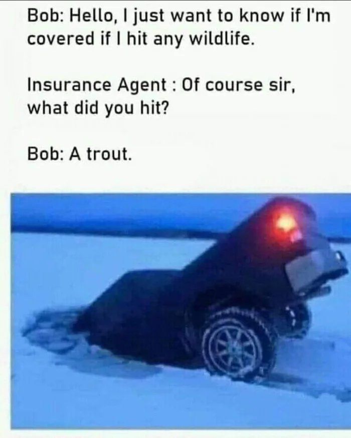 trout.jpg