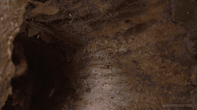 tumblr_p0ftlatEE21qmob6ro1_400.gif