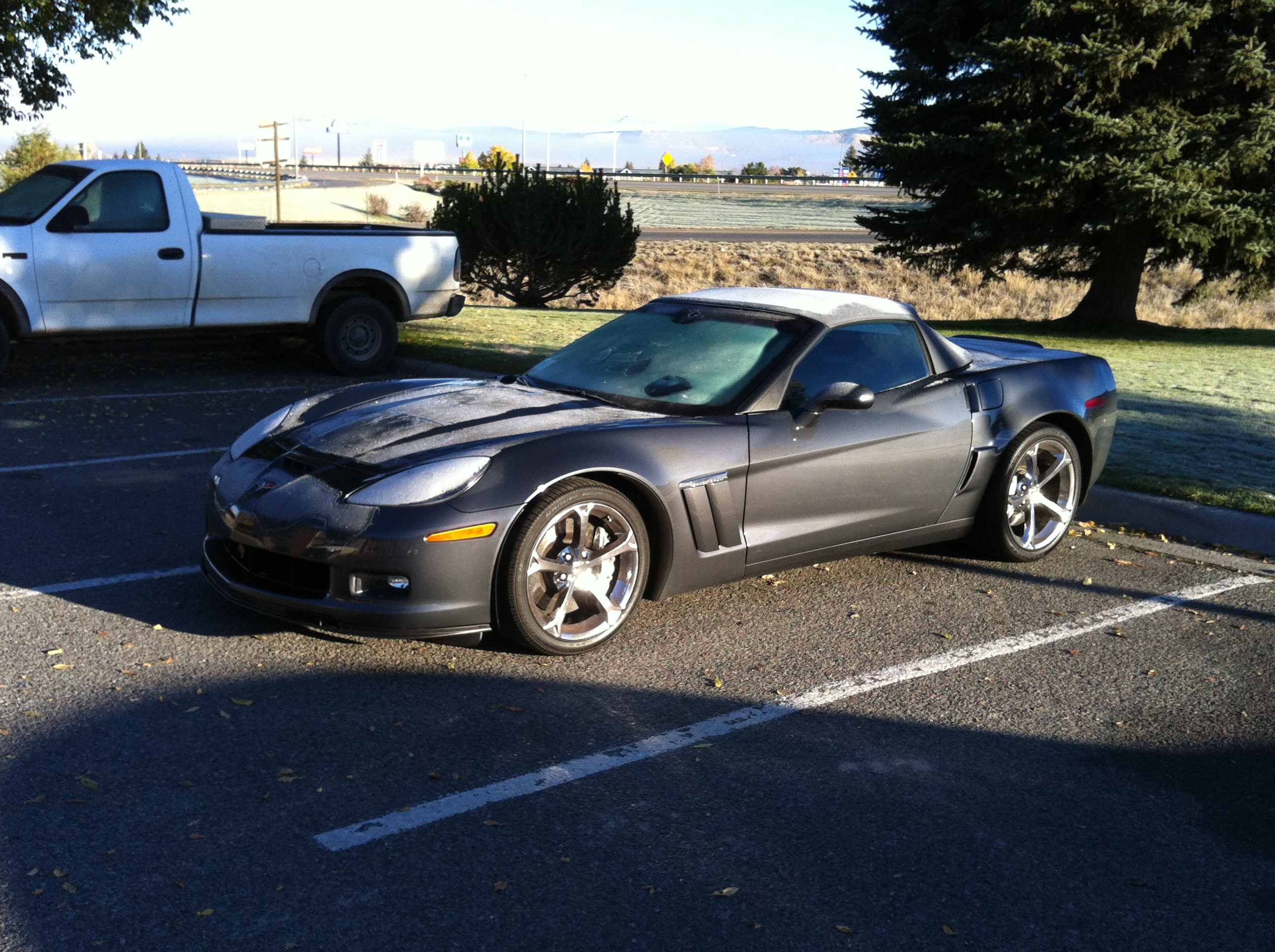 Under Cover of Frost