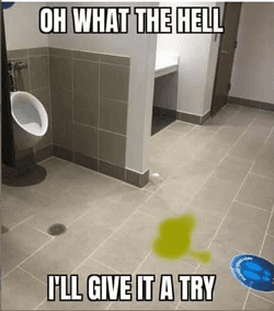 Untitled.png