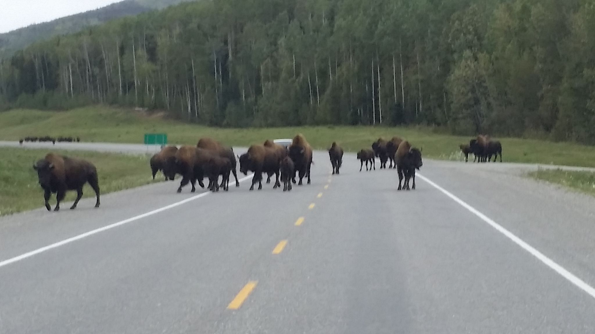 ustripaug16 (498).jpg