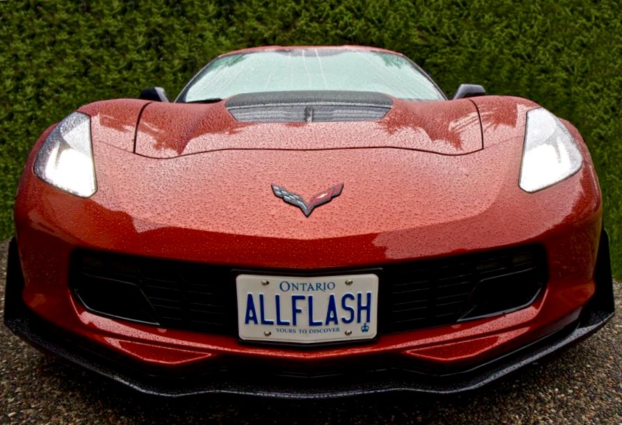 Vancouver Morning Dew...