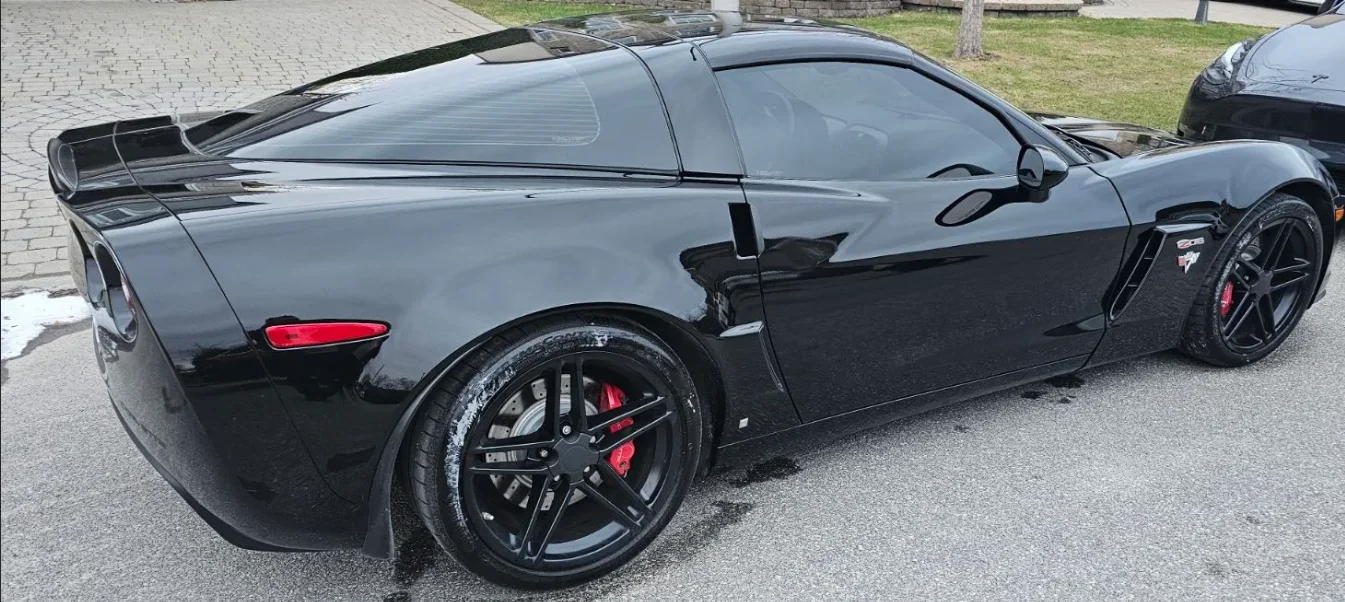 Vette 1.webp