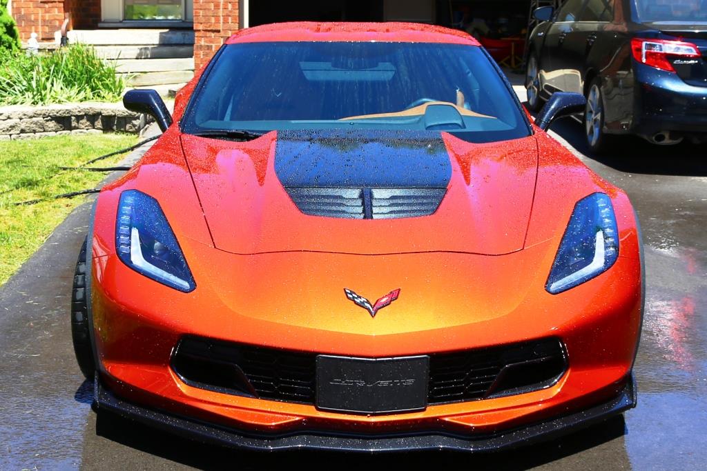 Vette 7 Front.jpg