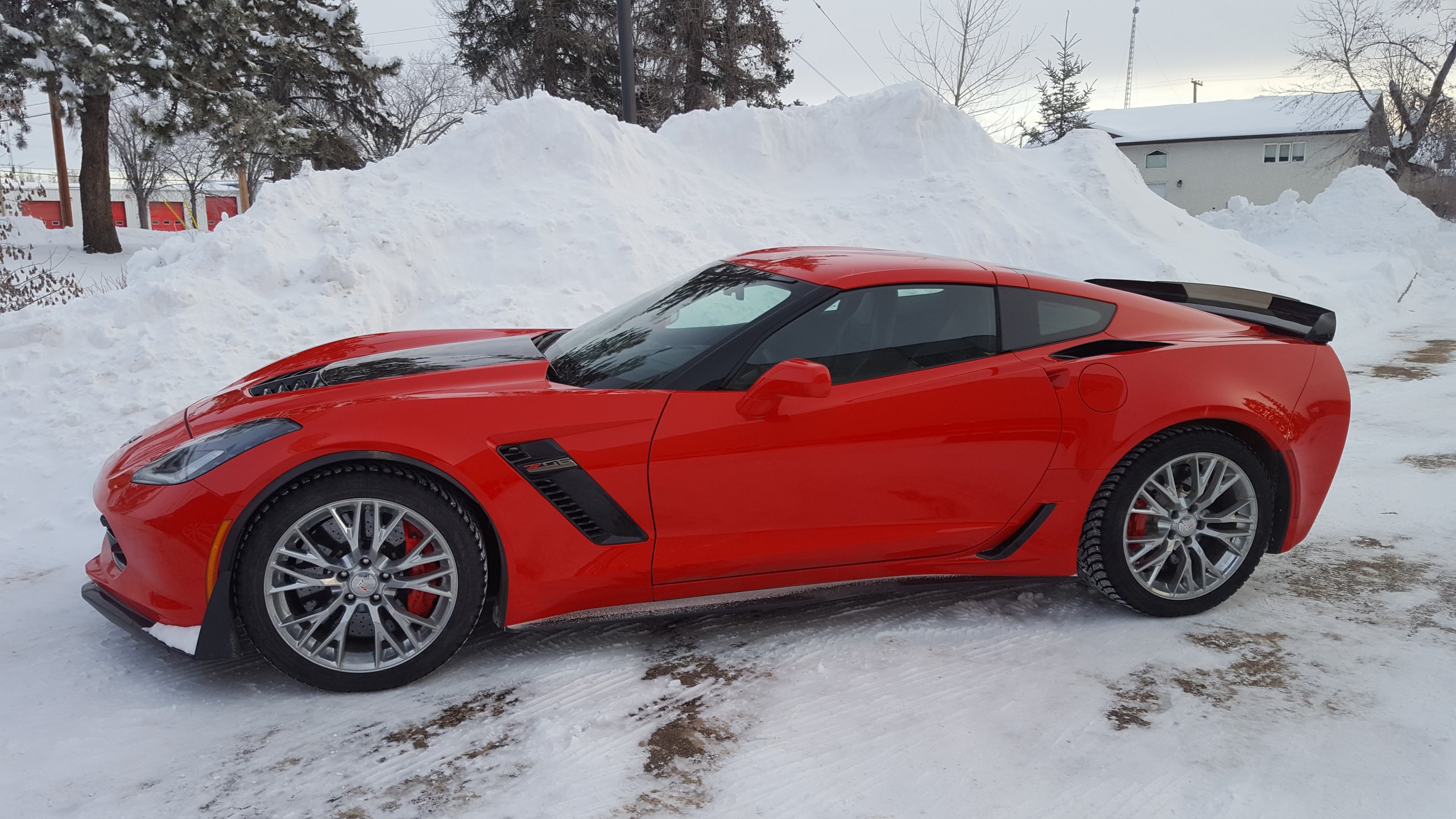 Vette in the Winter.jpg