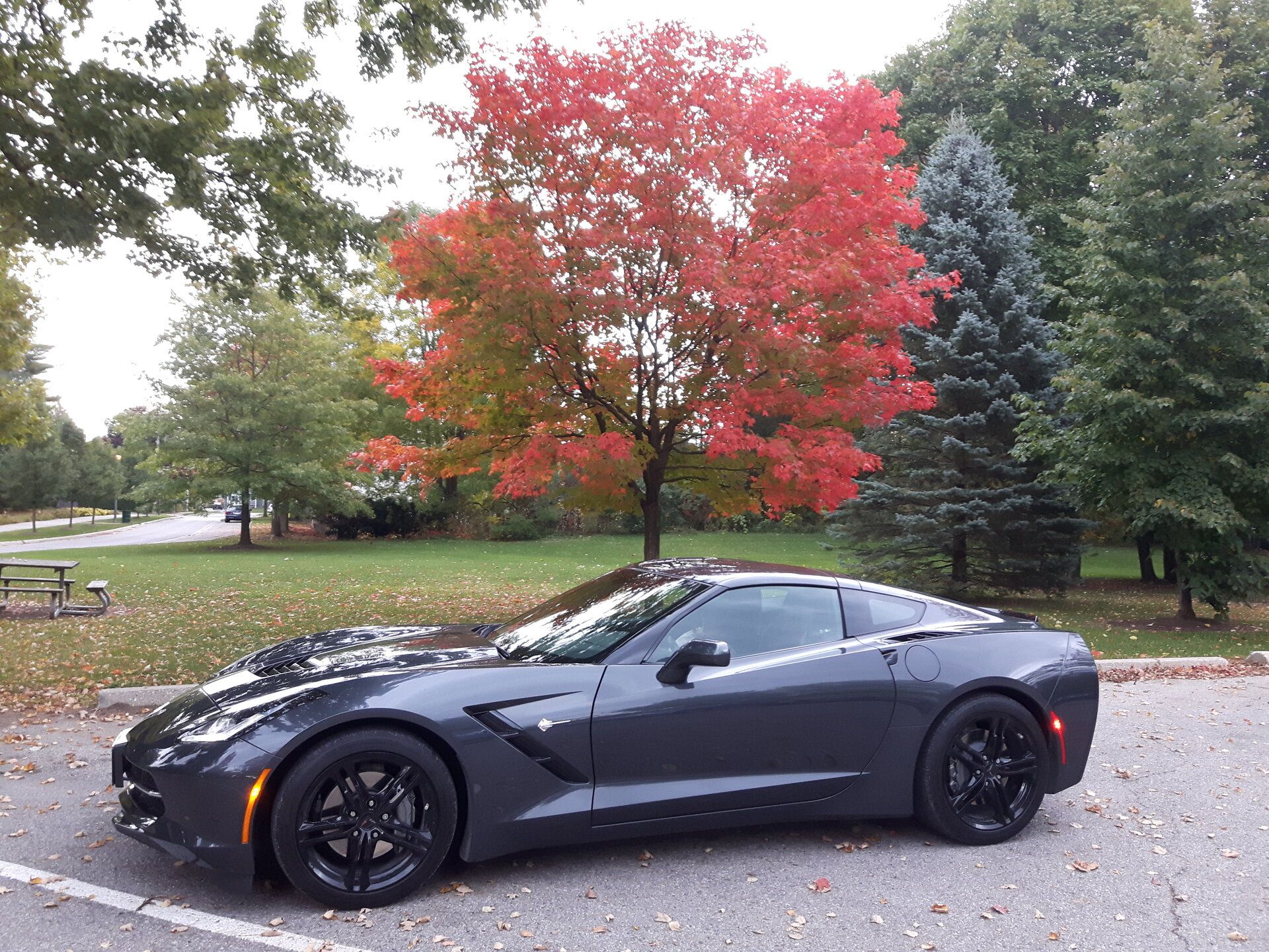 Vette @ Stratford 2020.jpg