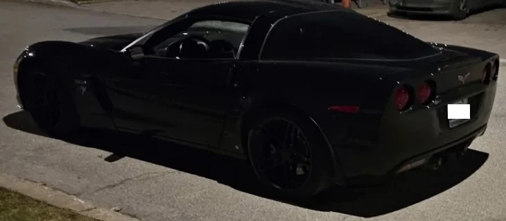 vette3.webp