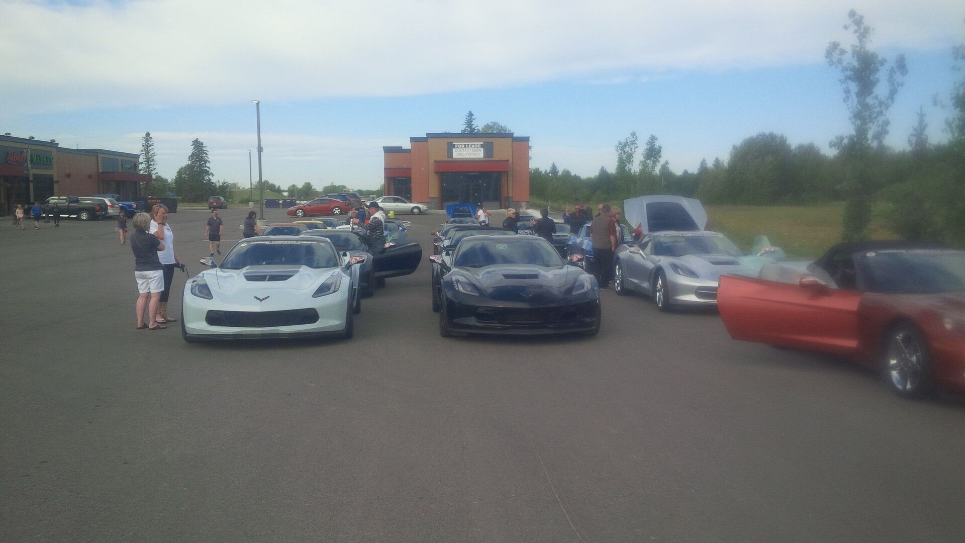 vettes red deer.jpg