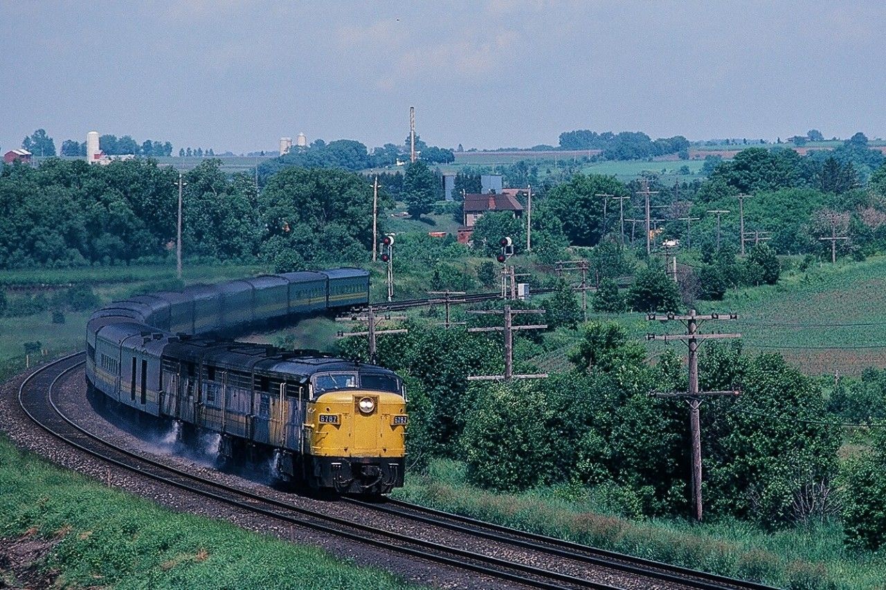 VIA 6787-2.jpg