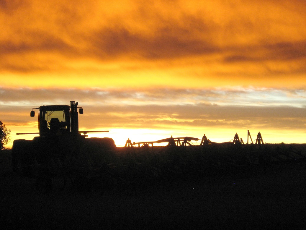 Wake up_It's morning.jpg