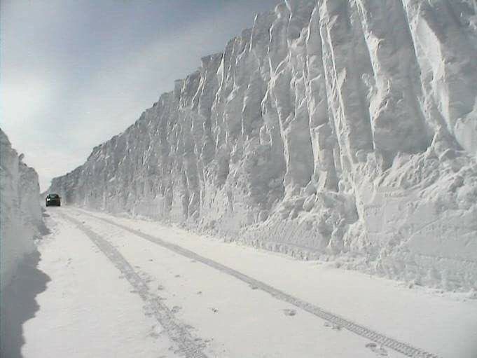 Wall Canada USA.jpg