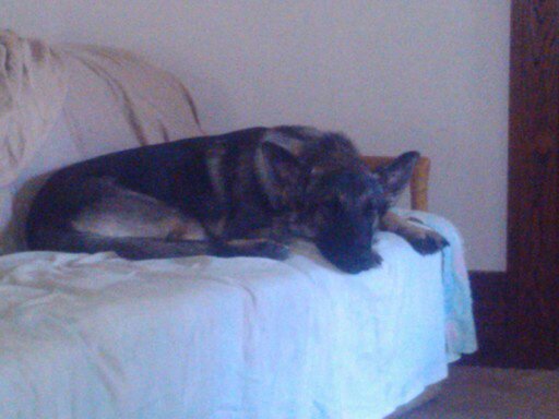 wasn't me Dad 119.jpg