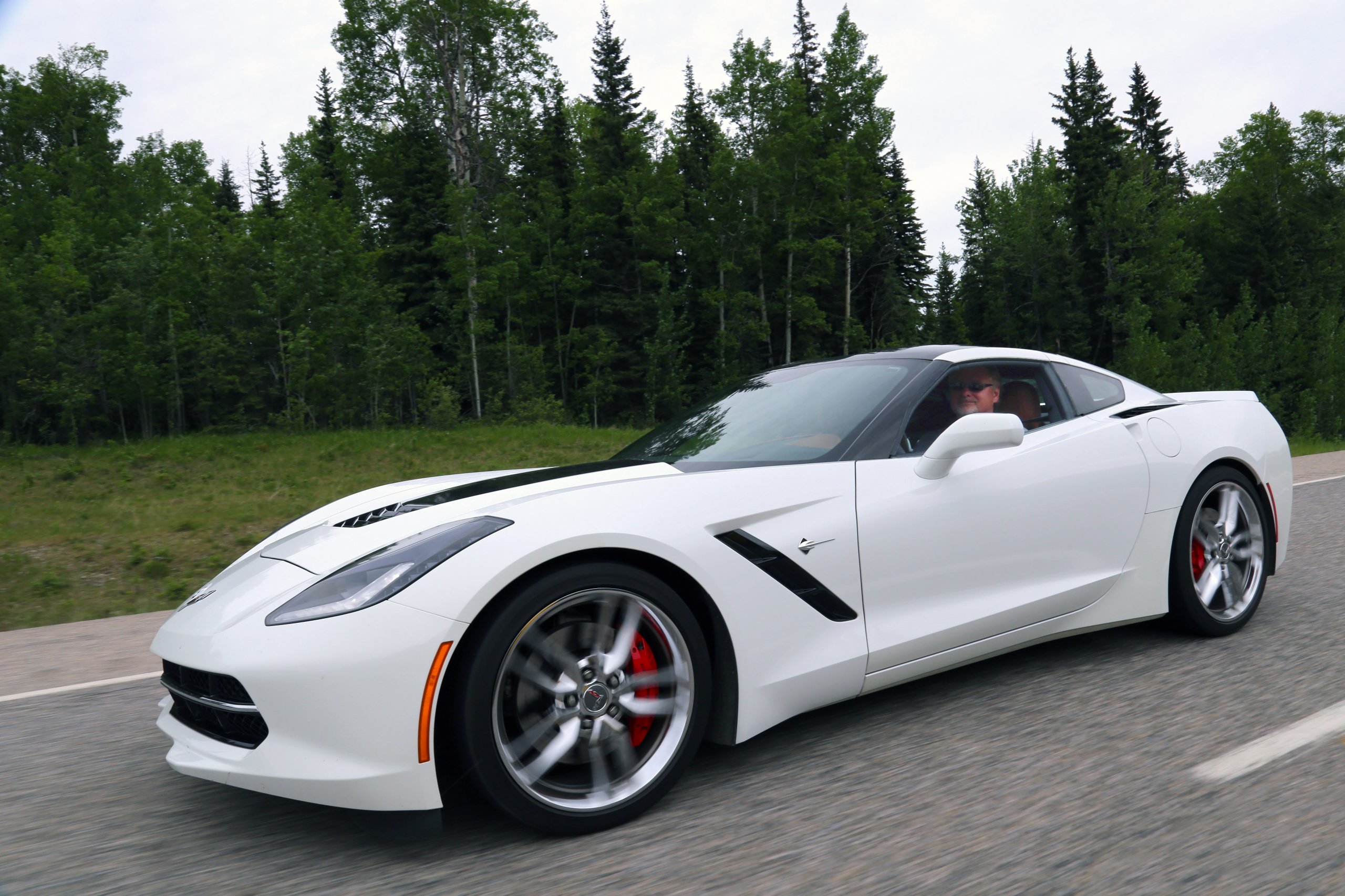 White Stingray June 3, 2017.jpg