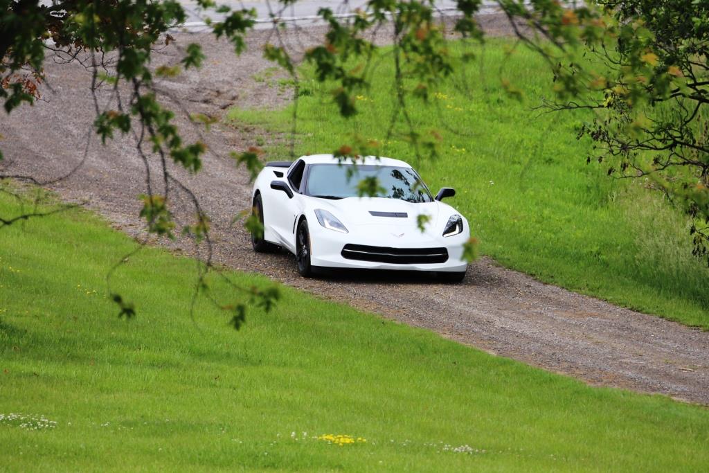 White Vette NFP Field.jpg
