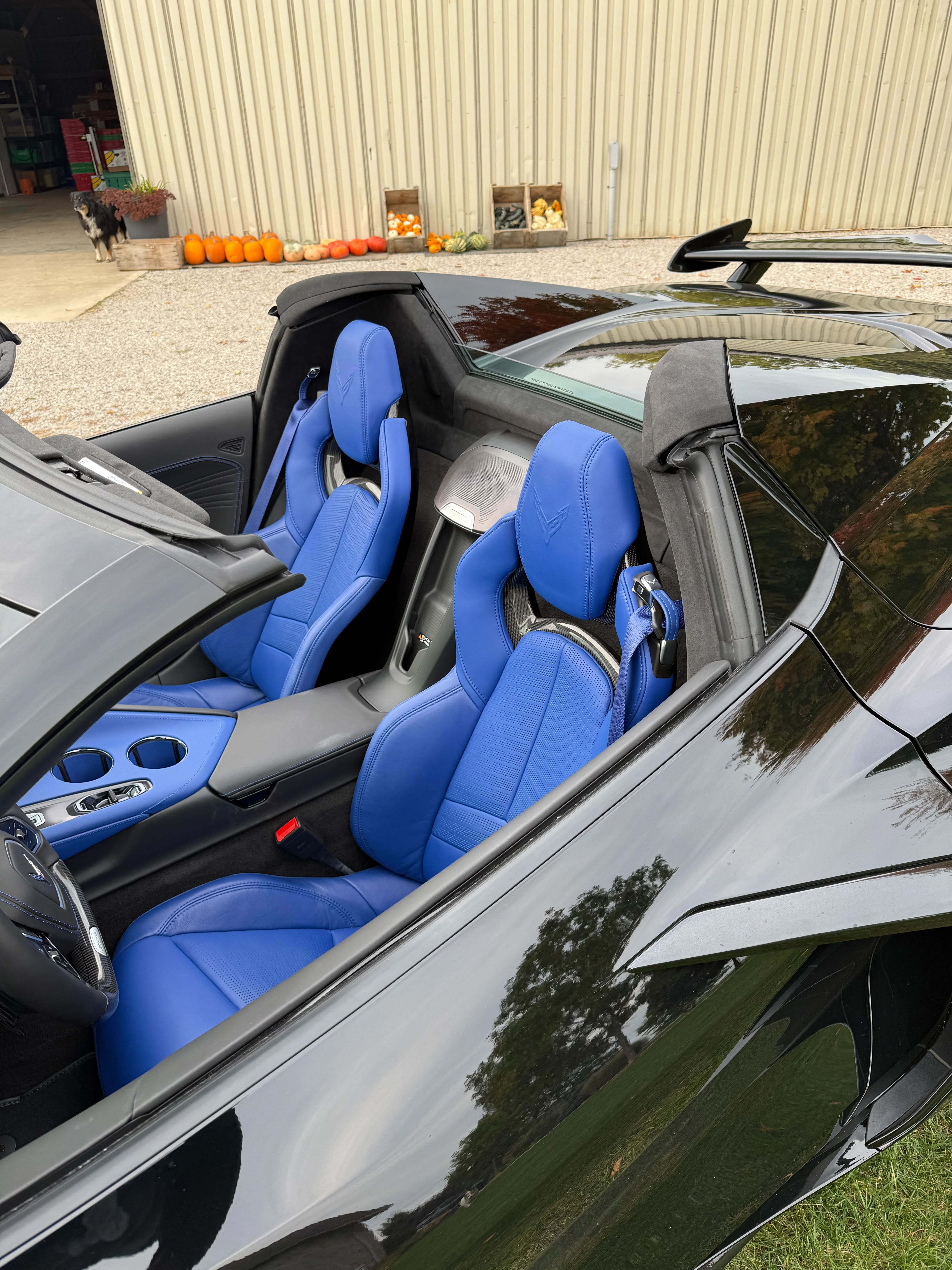Z06-3.webp