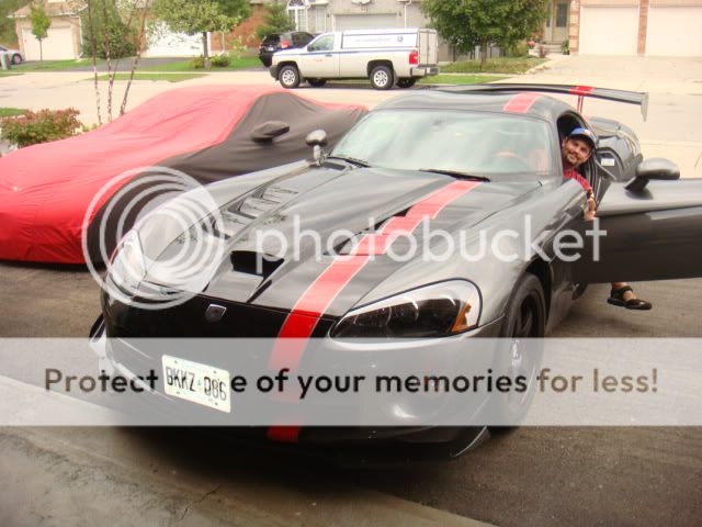 2010Viper002.jpg